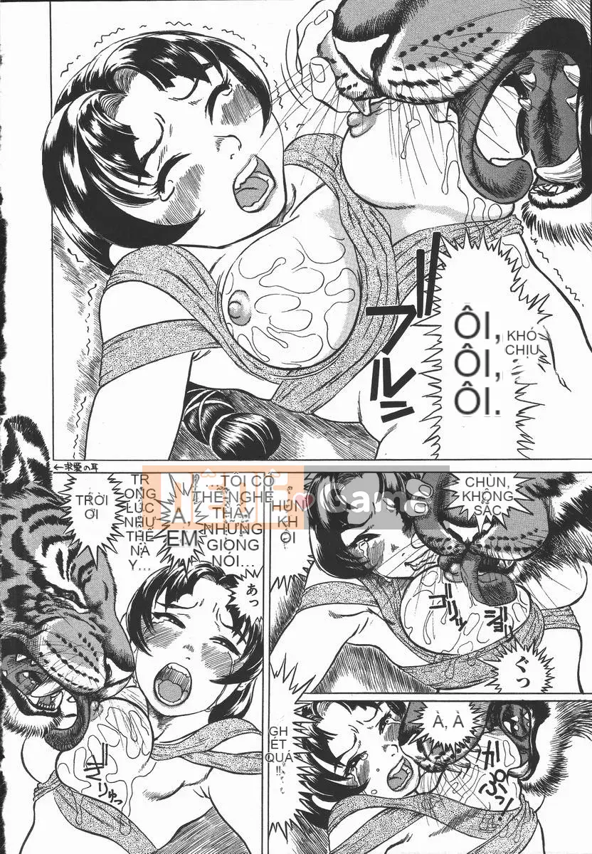 [Hase Madoka] Mùi ánh kim