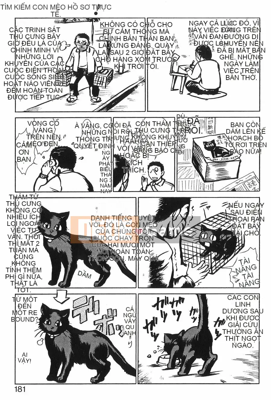 [Umedama Nabe] Chiến dịch mới Daisakusen TNG