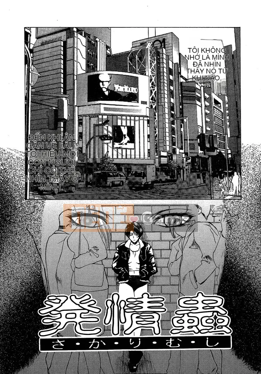 [Miyabi Tsuzuru] Bộ sưu tập ngắn đầu tiên của Enemi