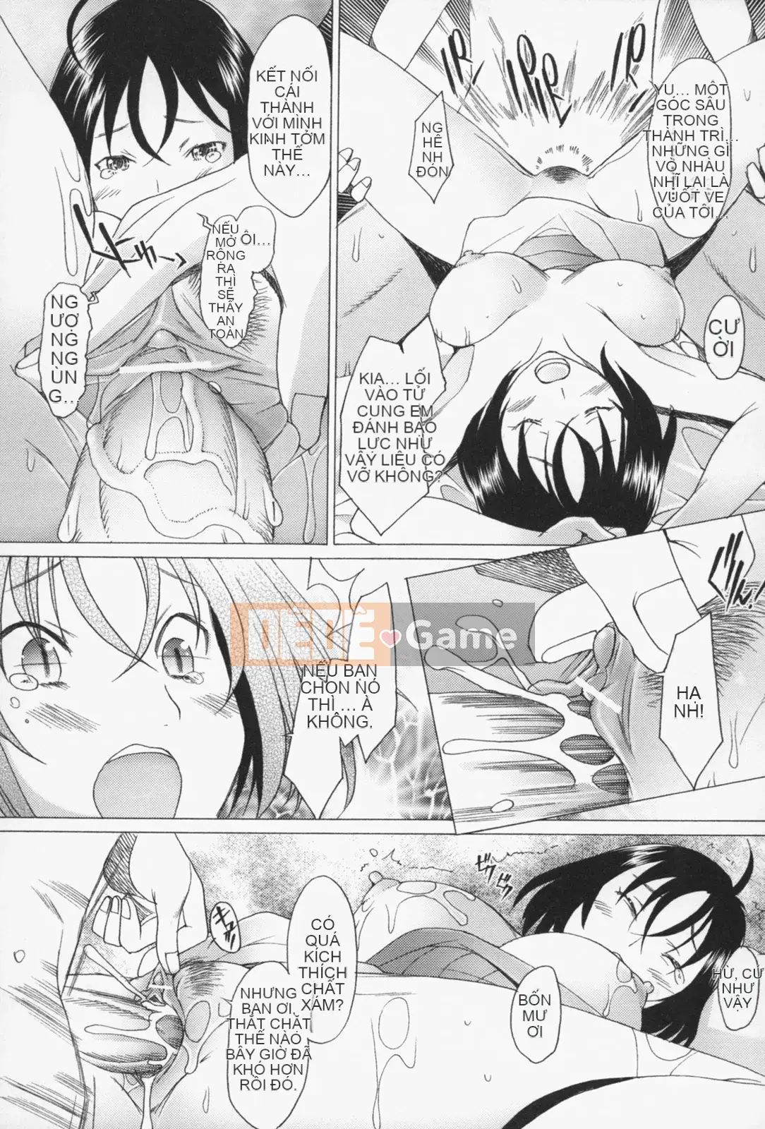 [Sakai Hamachi] Tình dục Nau♡