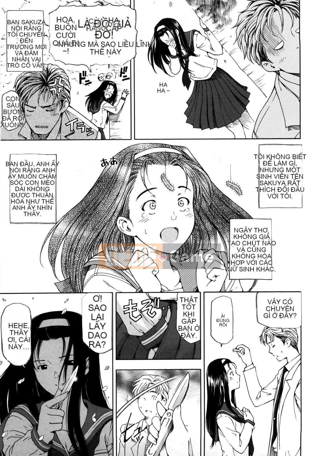 [Đào tạo chuyên sâu cá nhân về vũ điệu ánh sáng] [Senna Yotaro] Công thức chức năng [Giải mã Hán hóa]