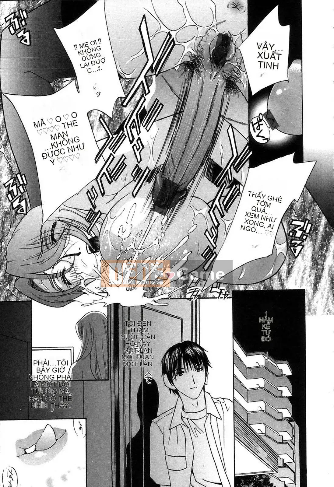 [Khoan Murata] Hộp âm hộ