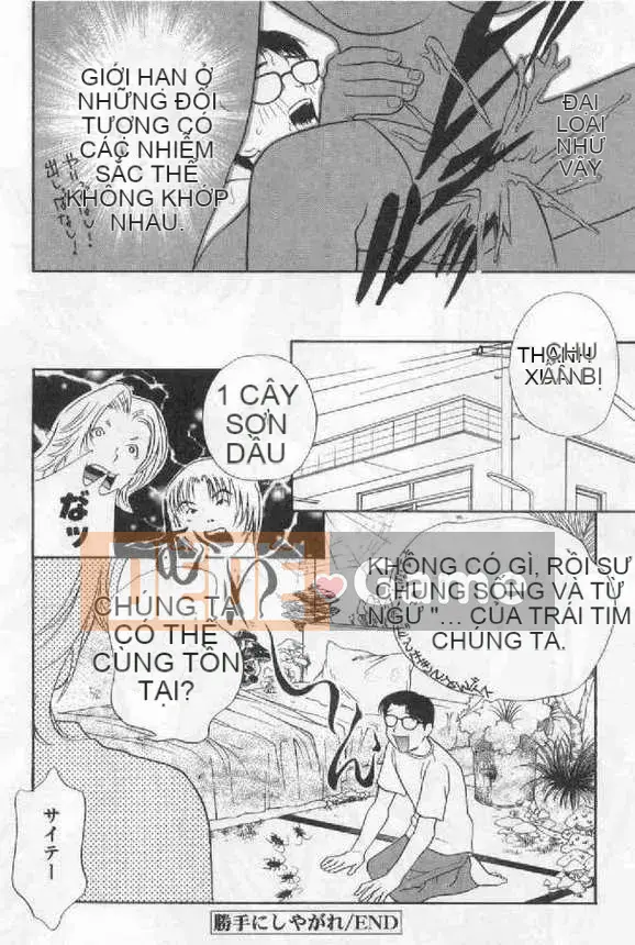 [Khoan Murata] Danshame