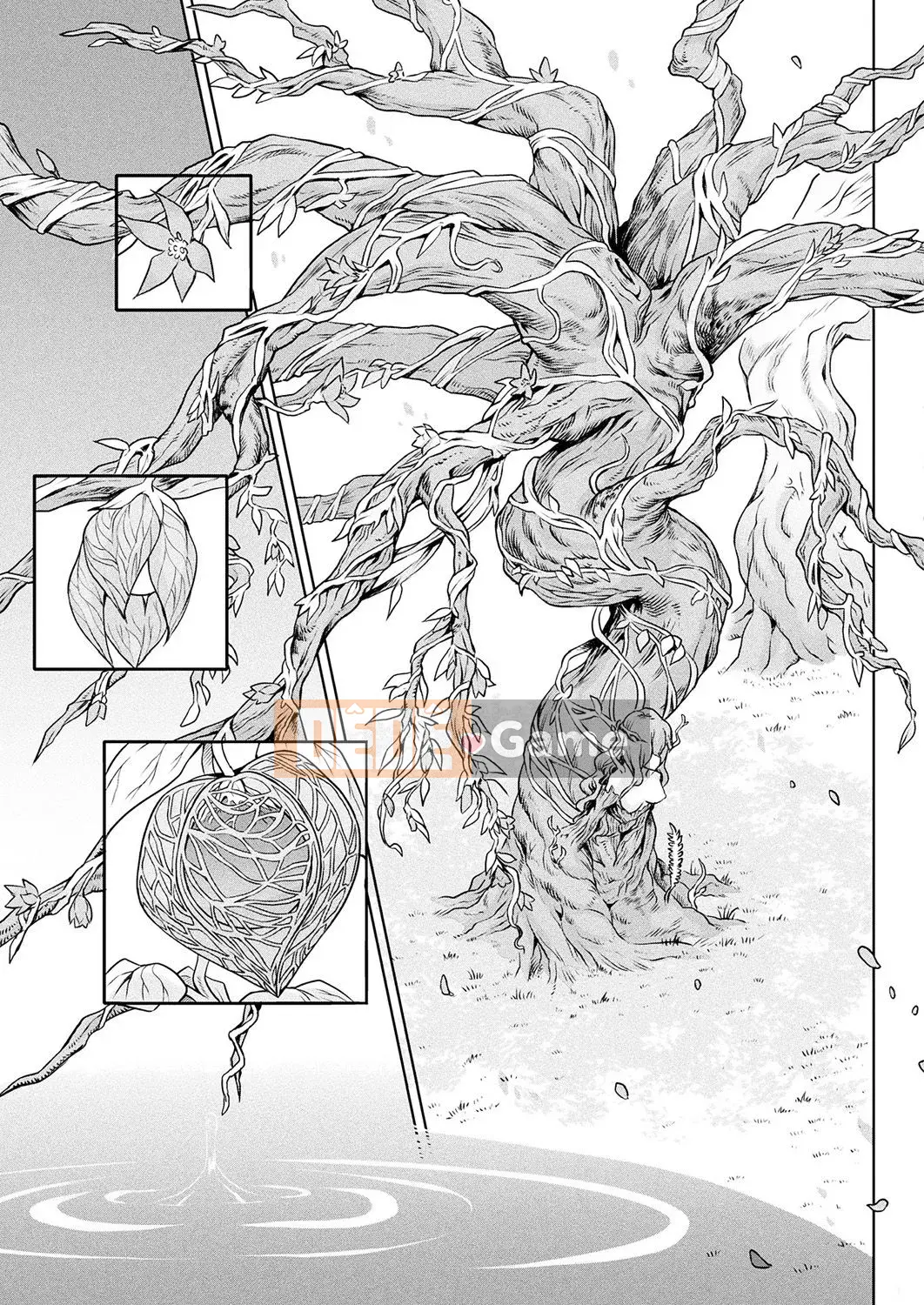 [Hán hóa và hòa giải Hoa Bà Nà Đen] [タケ] Câu chuyện kỳ ​​lạ