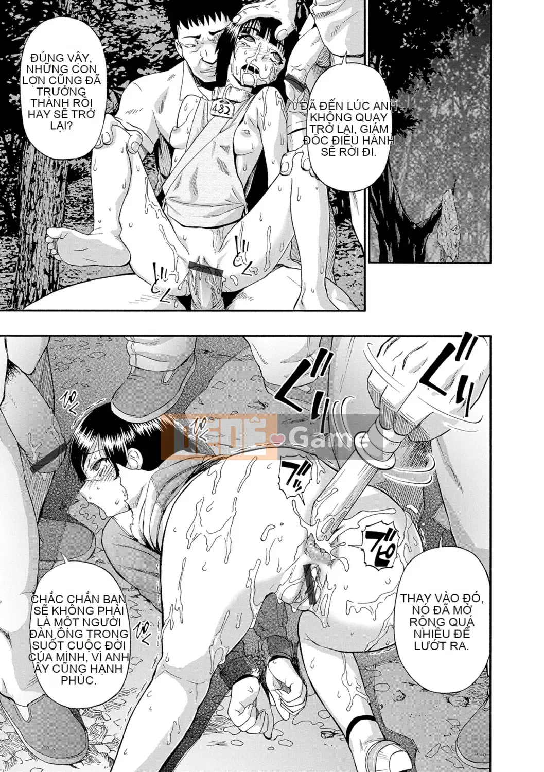 [Hàu] Butagoya (Đá ngu ngốc)