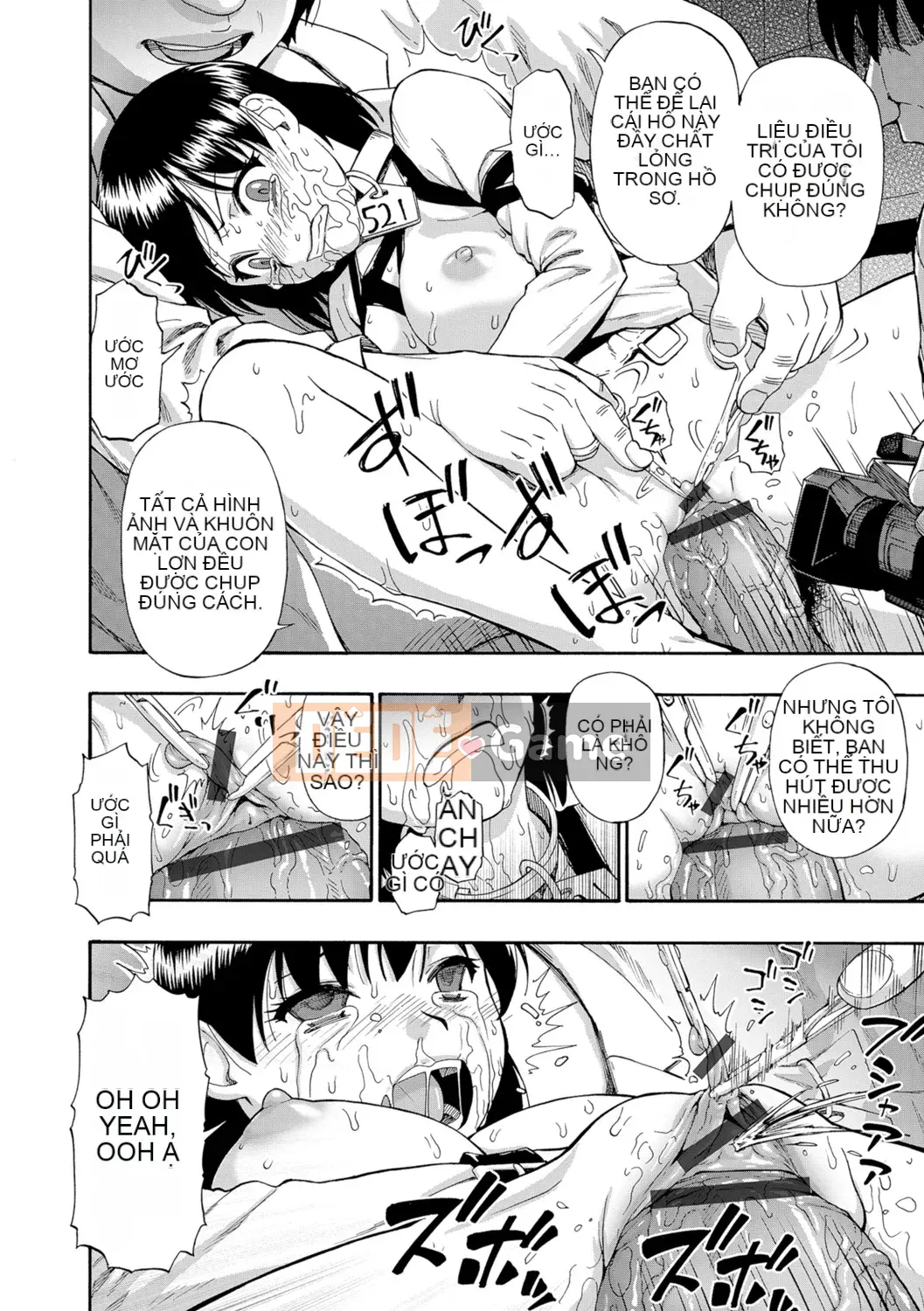 [Hàu] Butagoya (Đá ngu ngốc)