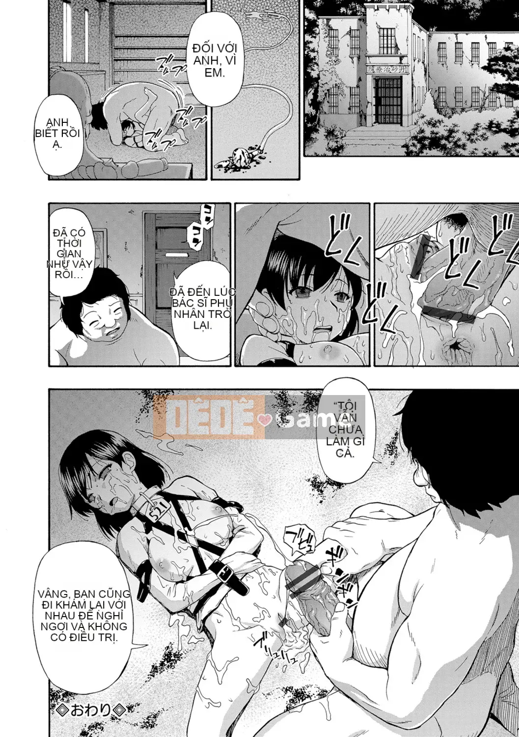 [Hàu] Butagoya (Đá ngu ngốc)