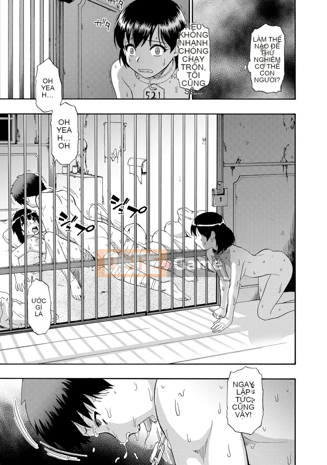 [Hàu] Butagoya (Đá ngu ngốc)