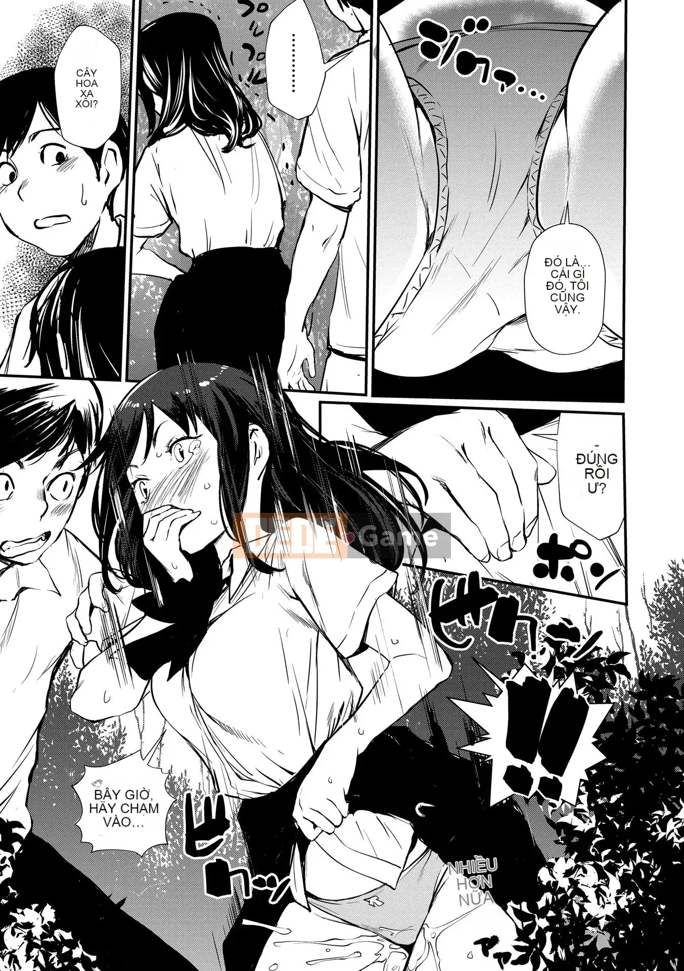 [Cua cáy] Mise tờ rơi