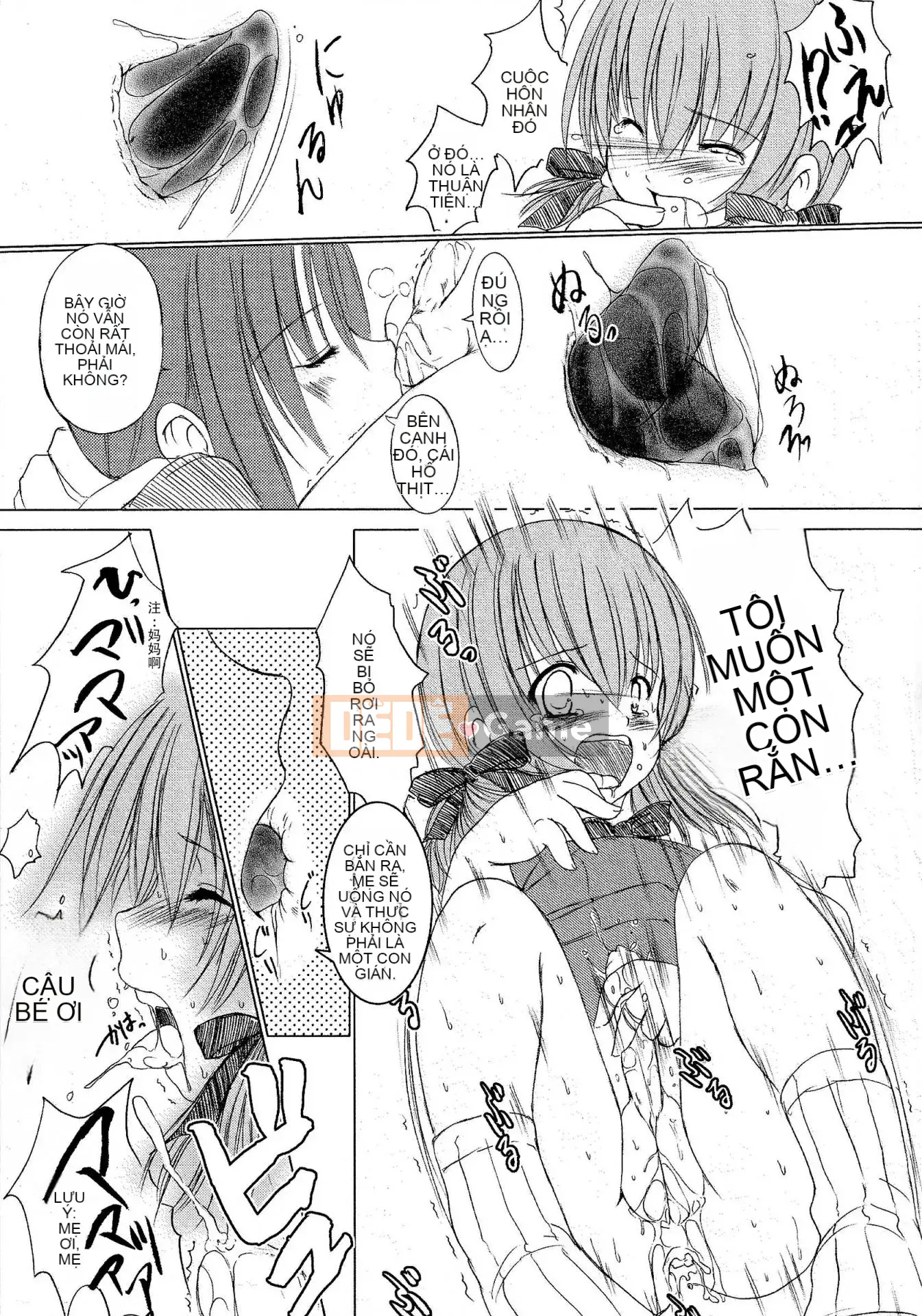 [Nhóm sưng và Hán hóa thép hualand] [Eniguma] Cô gái mất tích trên