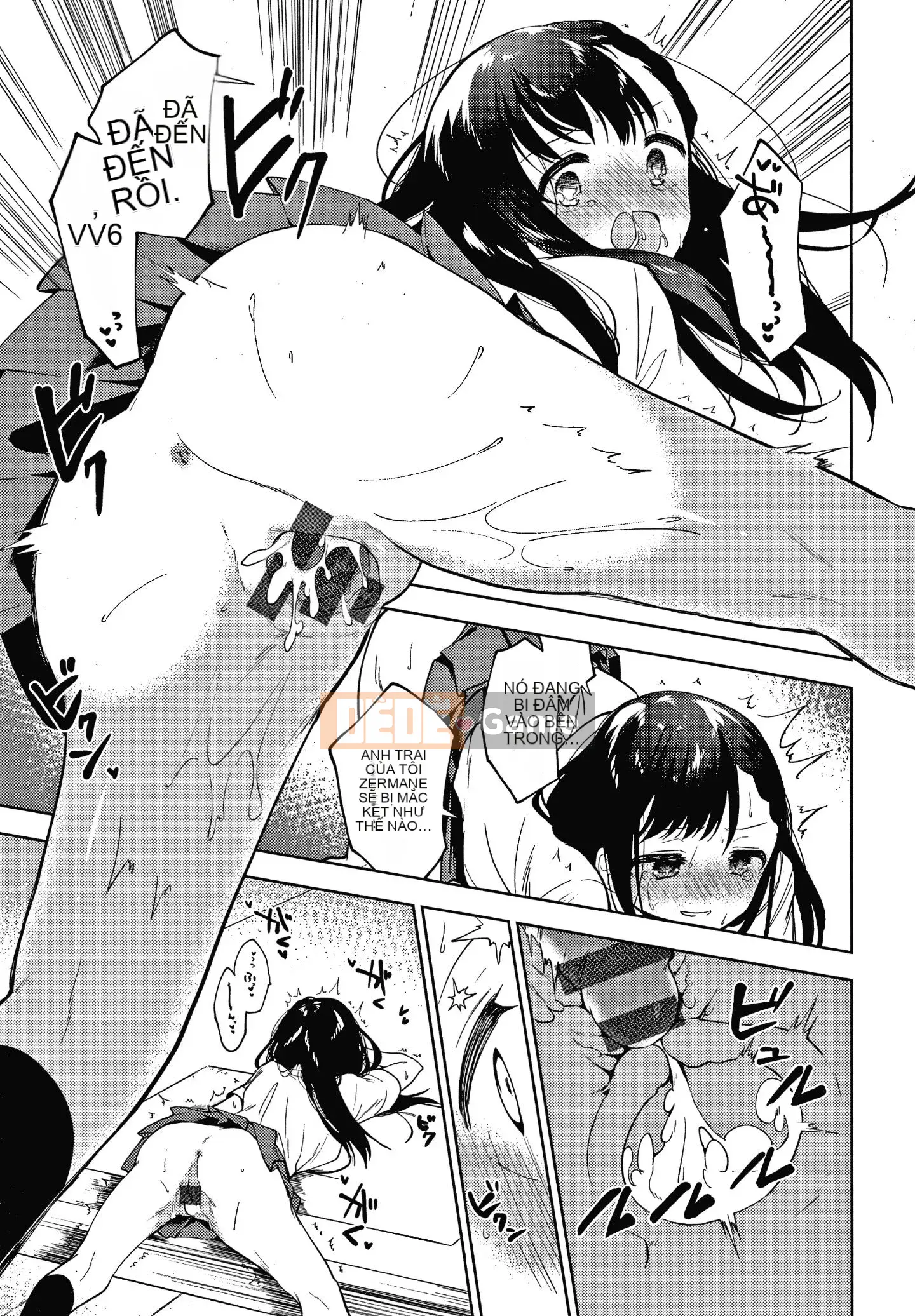 [Nogiri Kaede] Chỉ anh trai tôi + thẻ minh họa