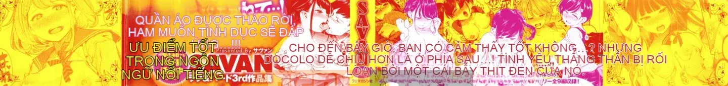 [SAVAN] Thỏ động dục + Tờ rơi 4P