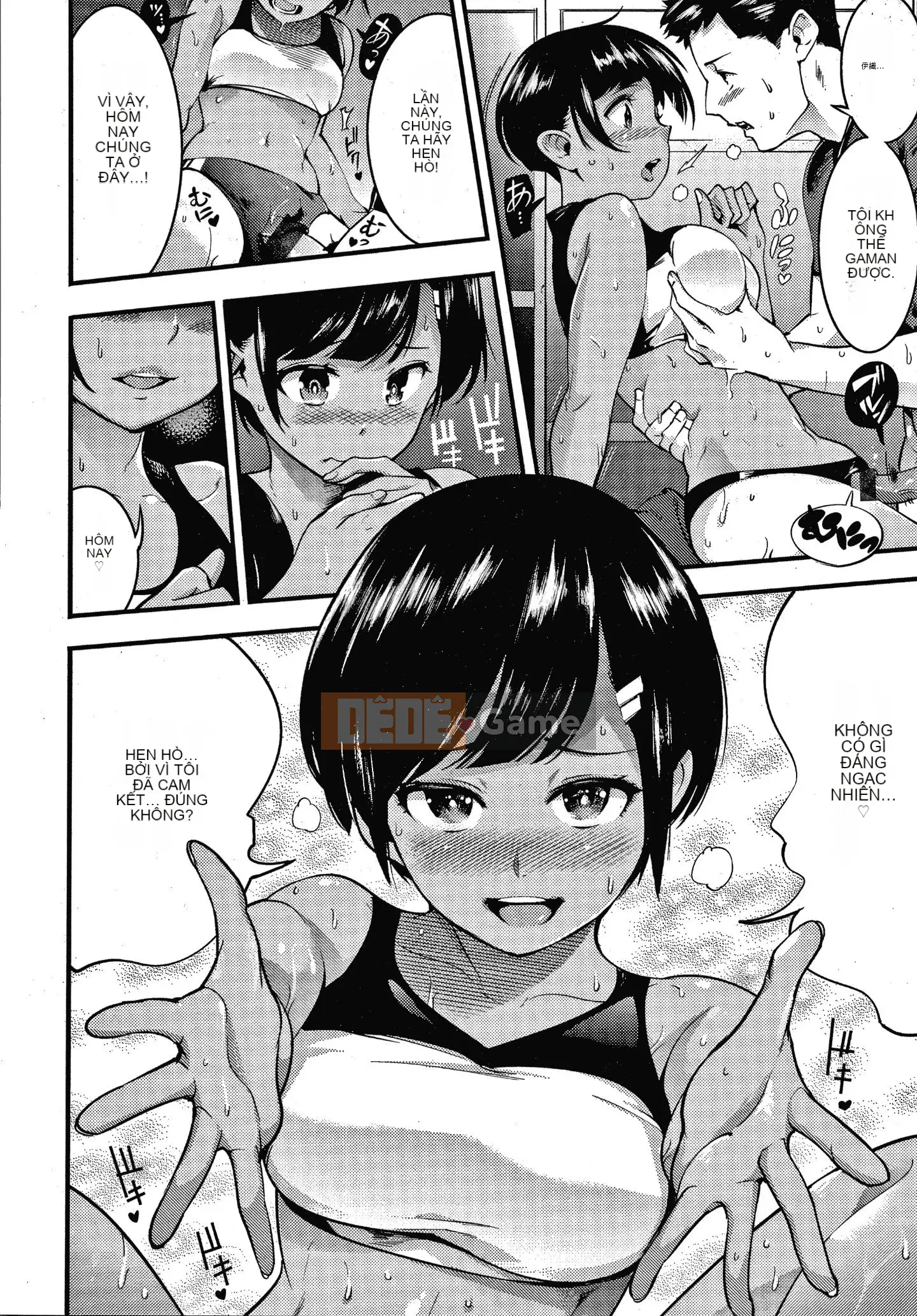 [SAVAN] Thỏ động dục + Tờ rơi 4P