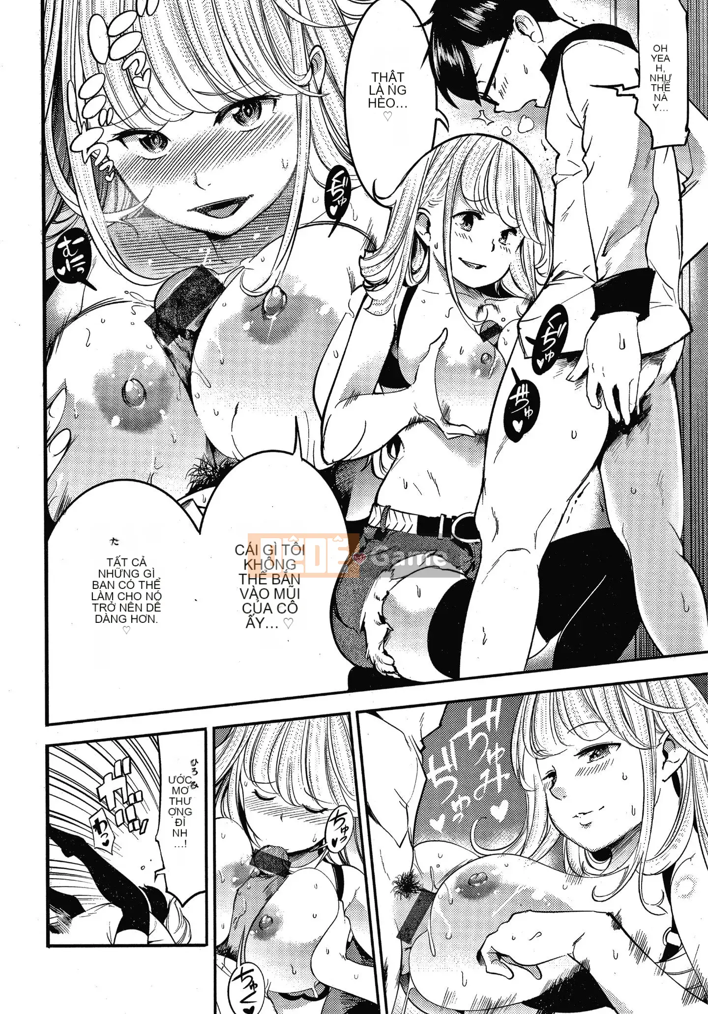 [SAVAN] Thỏ động dục + Tờ rơi 4P