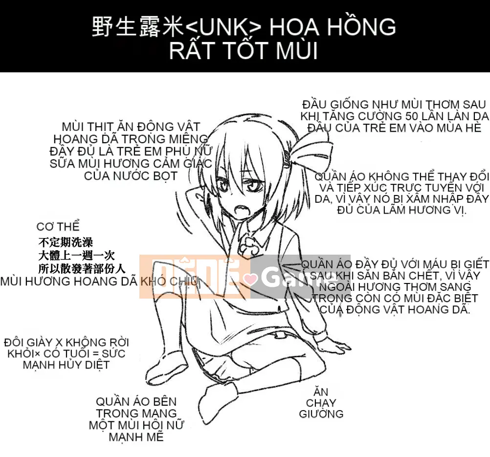 [Zenoside (Koreno)] Koreno Oshi Tokusakusan Kishuu (Dự án Touhou) [Tiếng Trung]