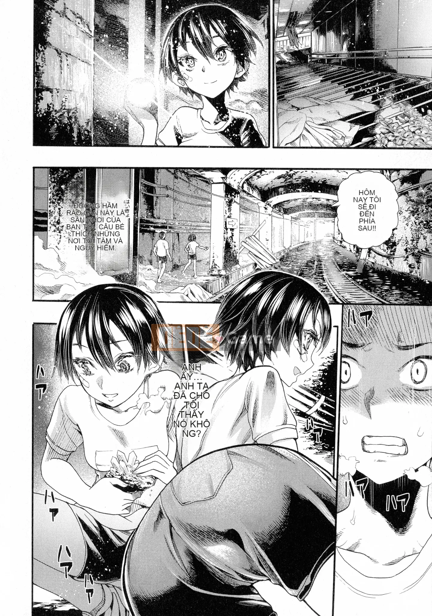 [Nippa Takahide] Nội dung bánh kem