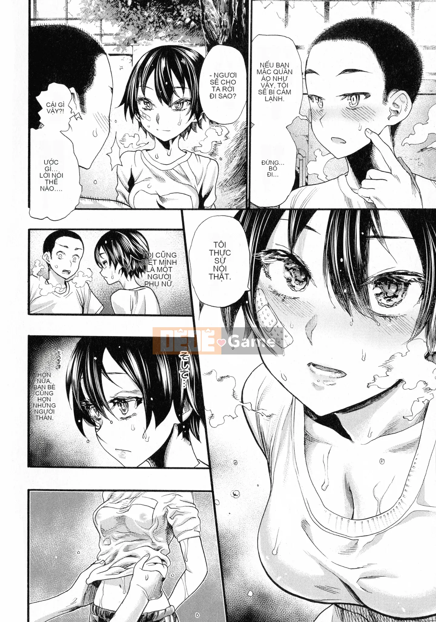 [Nippa Takahide] Nội dung bánh kem