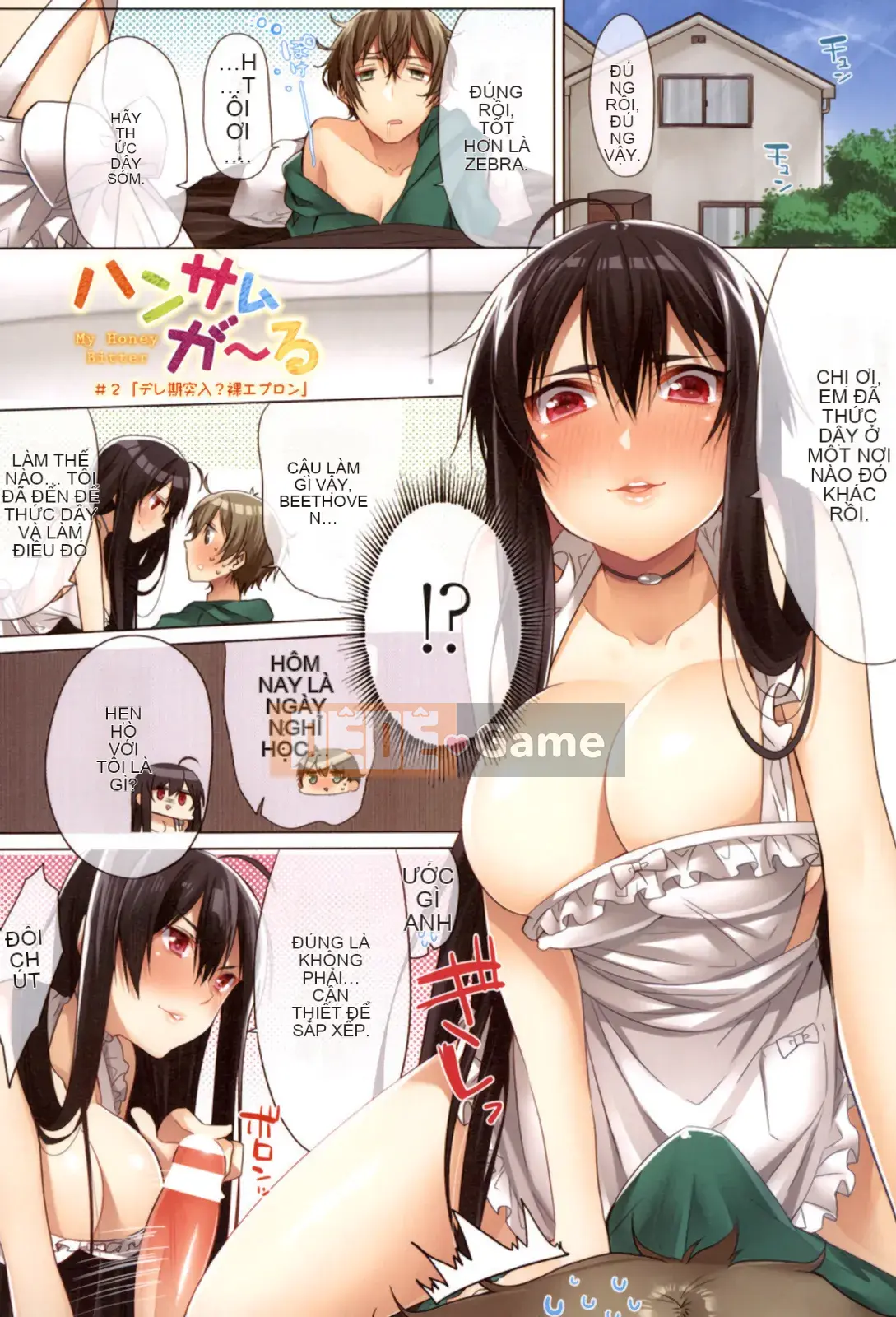 [Masaki Hattori] Gokunyuu Nama Shibori [Kỹ thuật số]