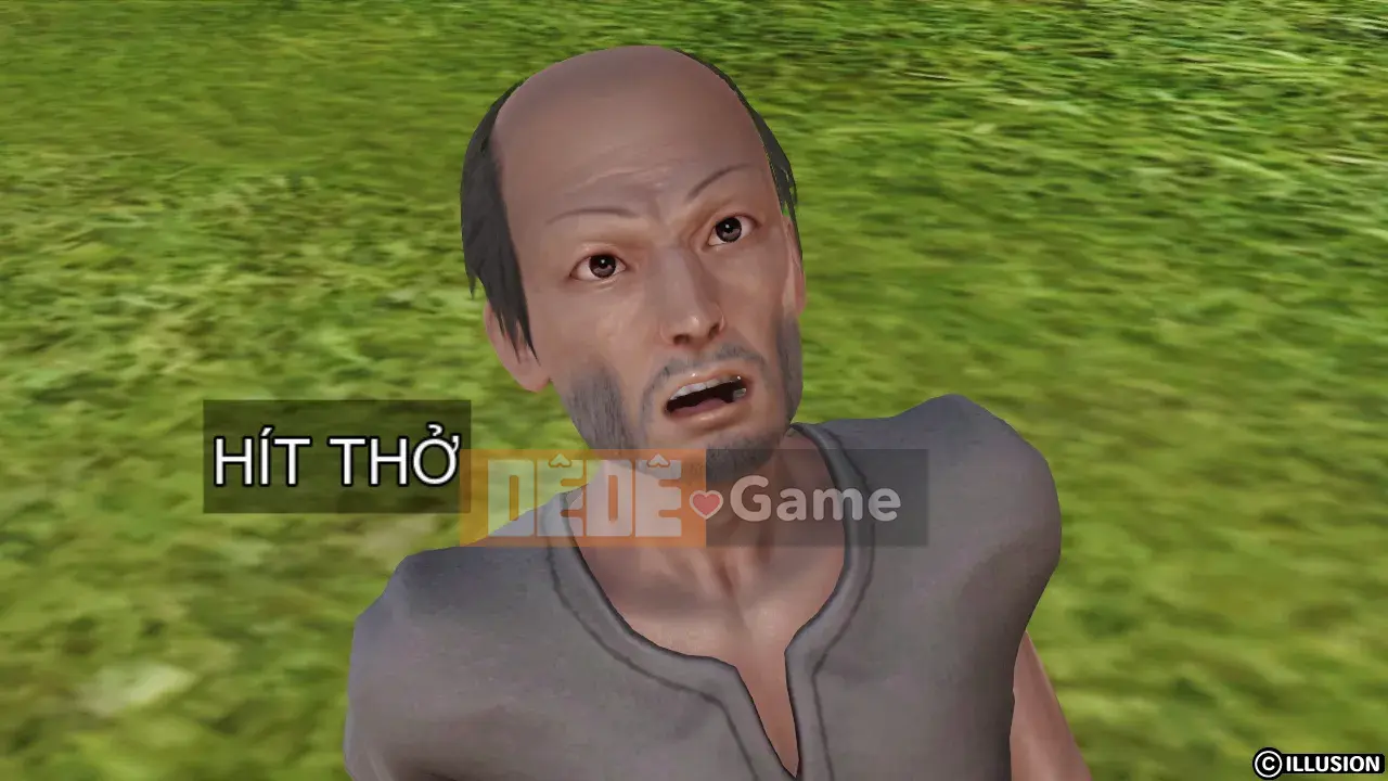 [Cây rừng] HERO 1