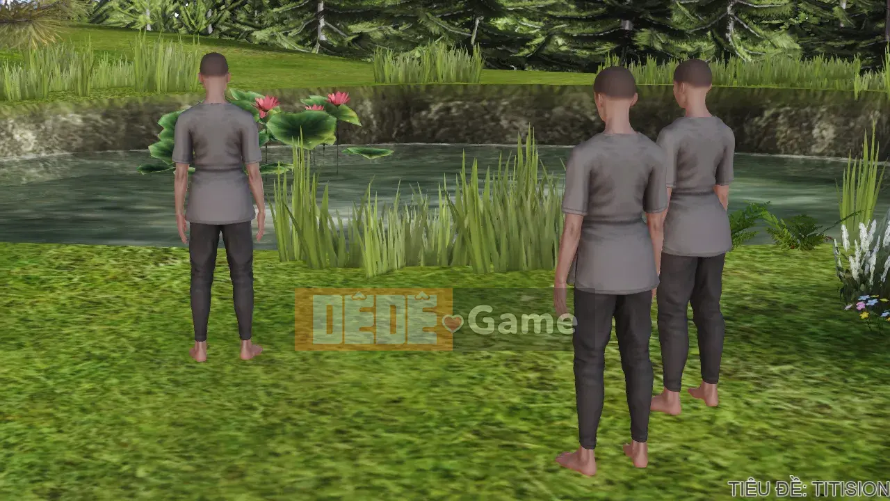 [Cây rừng] HERO 2