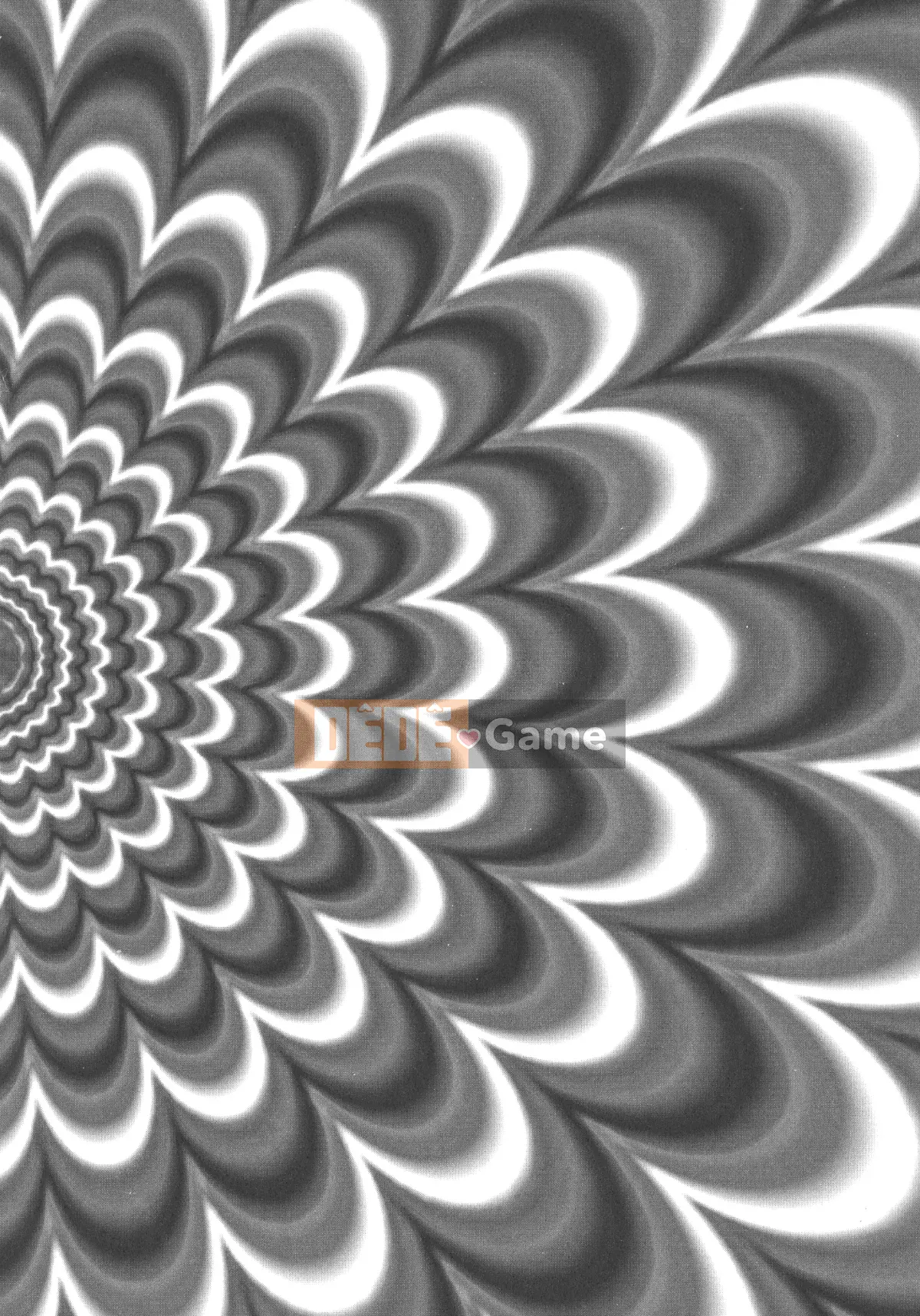 [Little Life] Nữ tính xuất thần