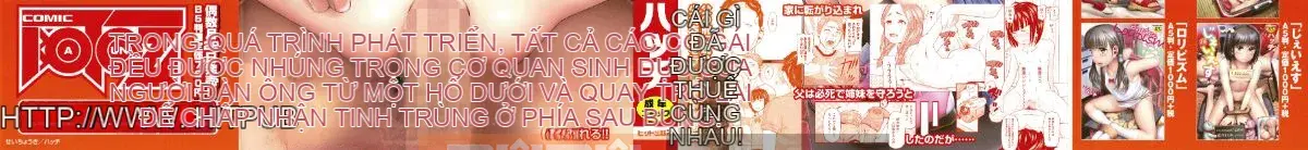 [Nở] Seichoki