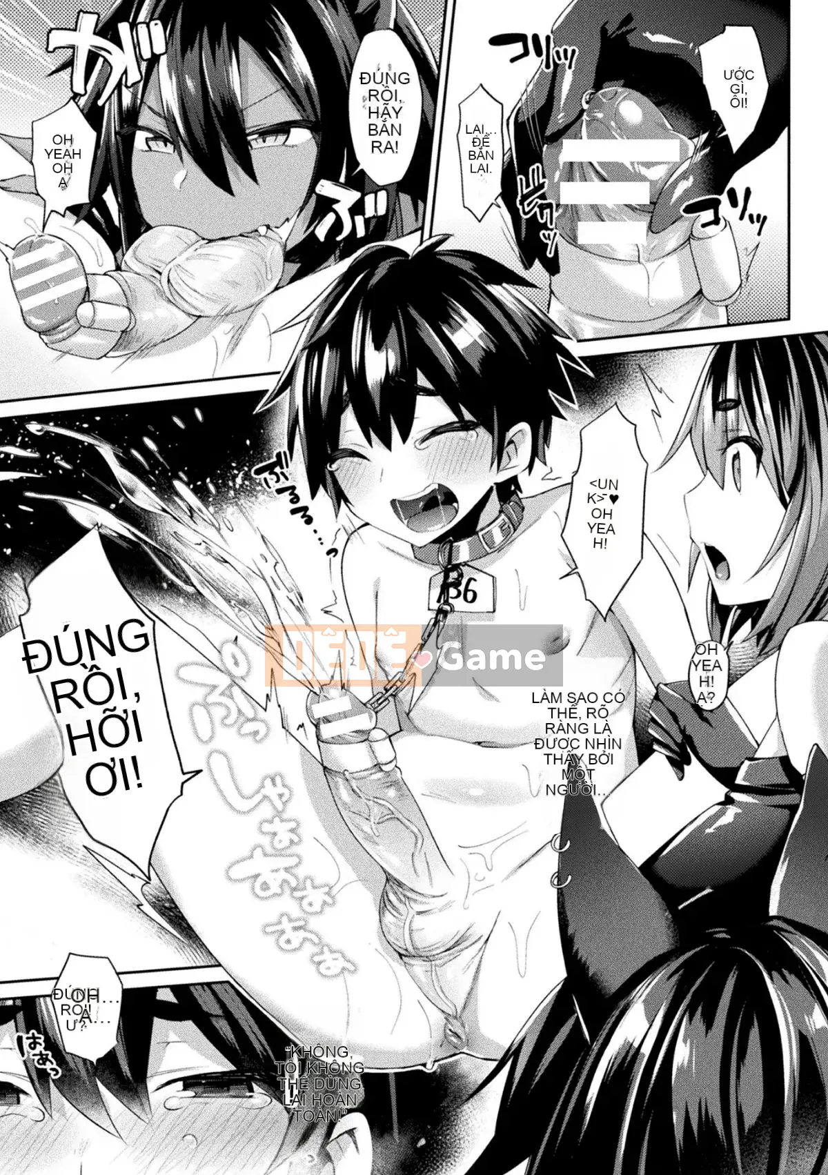 [No Cuckoo Sinicization Group][Jiri Chariot] Desire ラビリンス