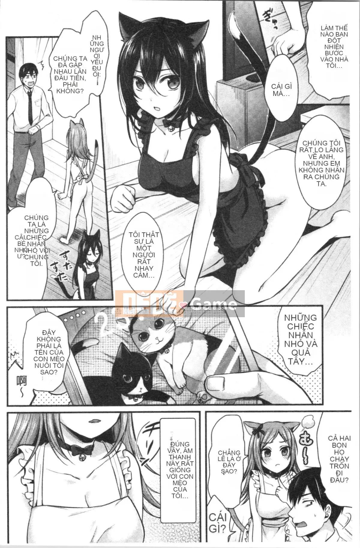 [4K Hanhuagumi][Pei] Mật ong Hajirai