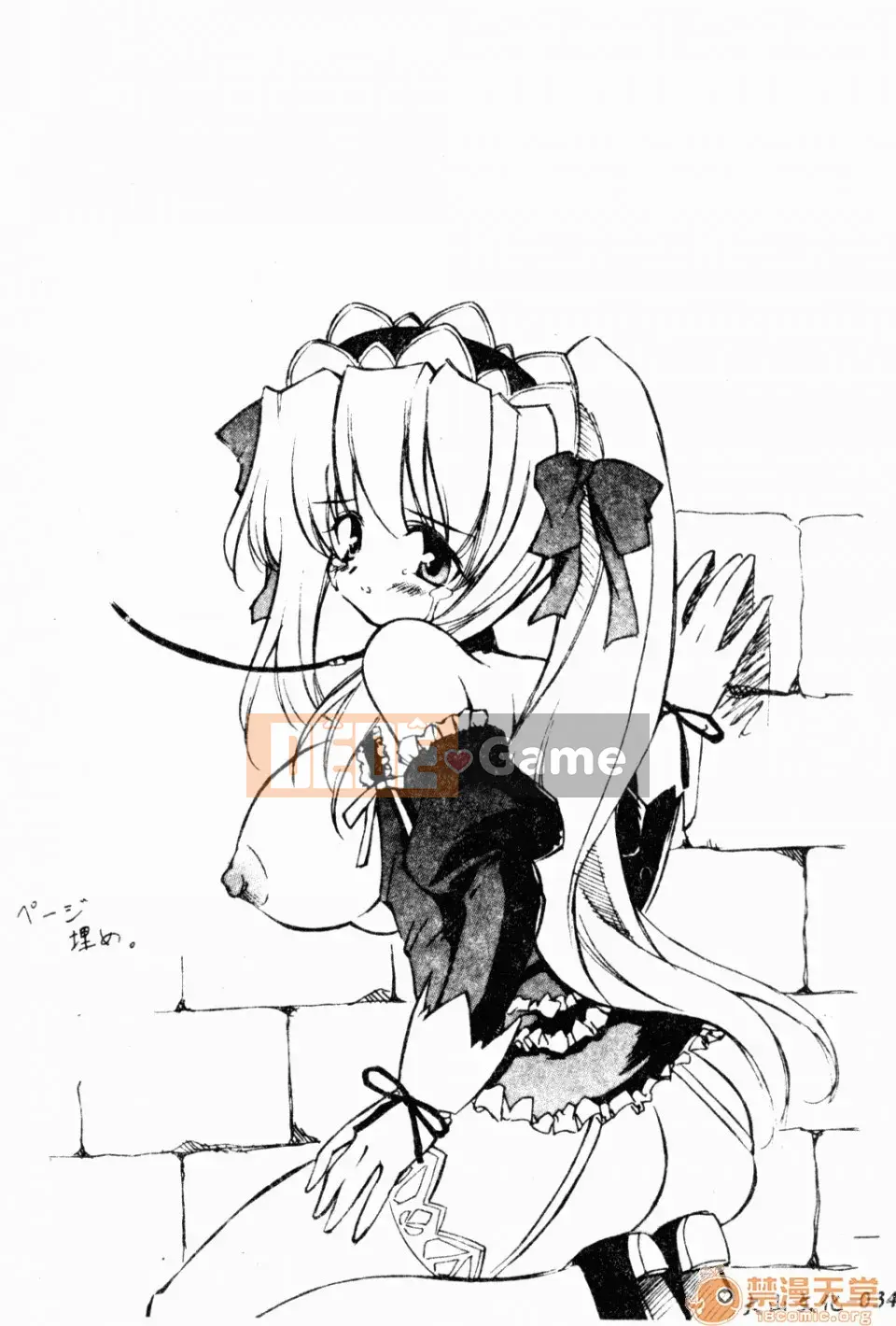 [Yasui Hirosato] Meinyuu [Tiếng Trung]