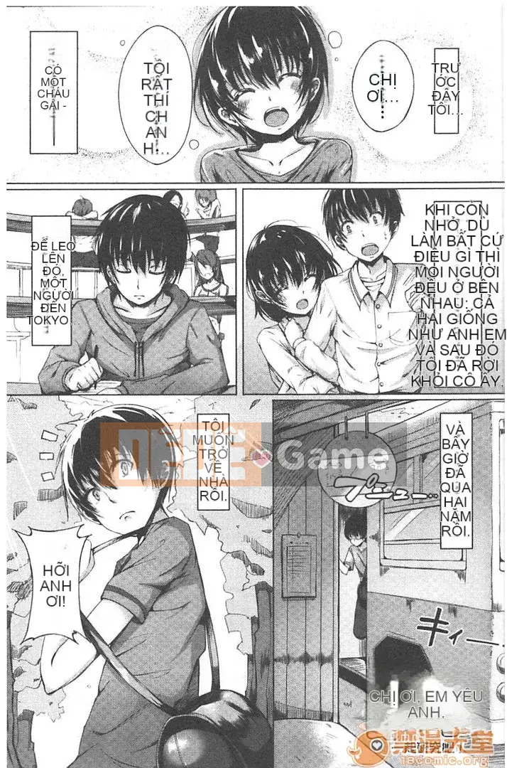 [momi] Koinyuu Teruzu Ankoru!(Tầm nhìn mới)