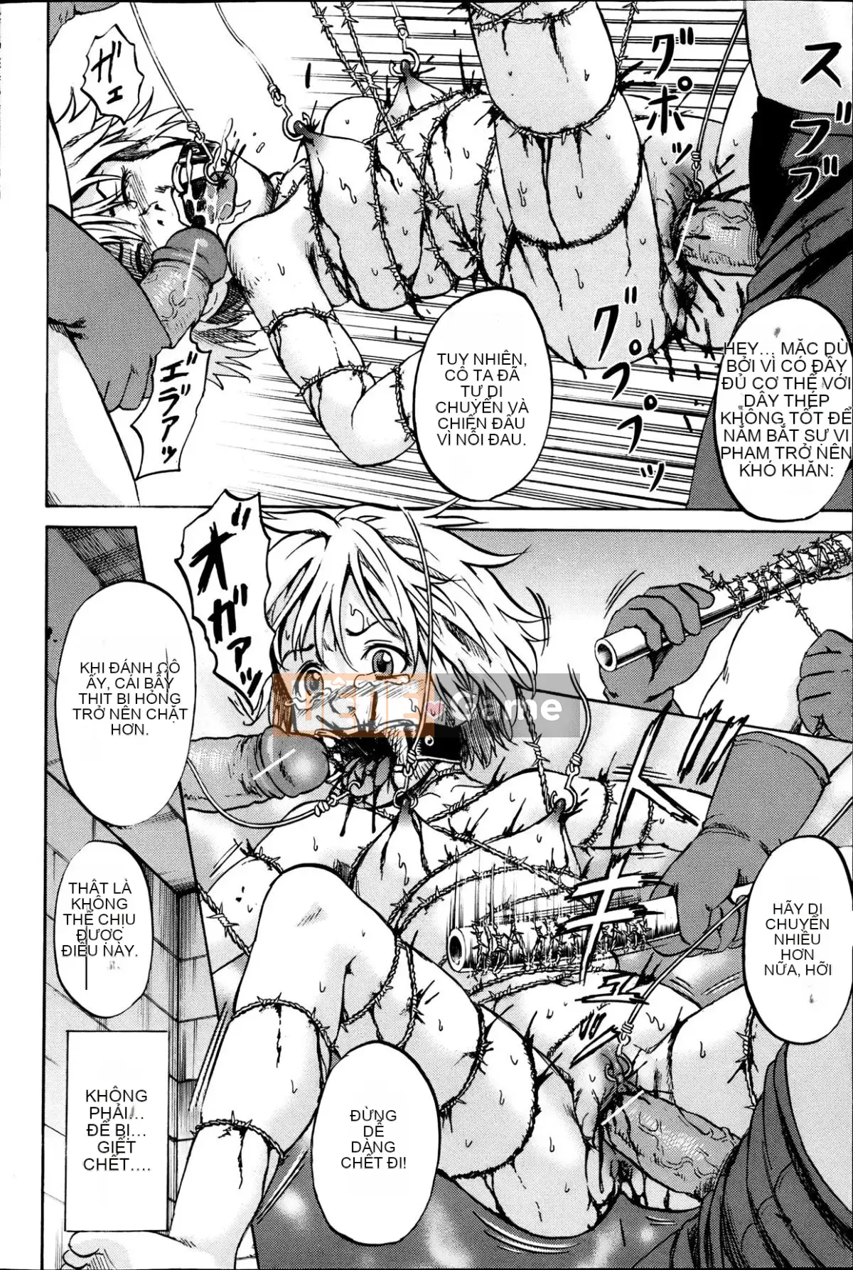 [Kawady MAX] Những cô gái đầy sẹo