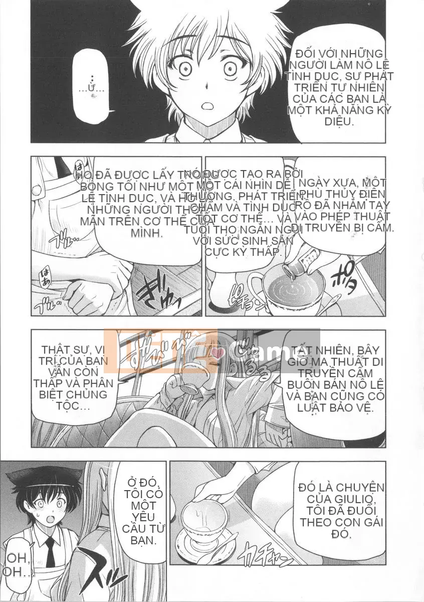 [Sena Yotaro] Phù thủy x Shota + Tập sách 8P minh họa mới Phiên bản giới hạn