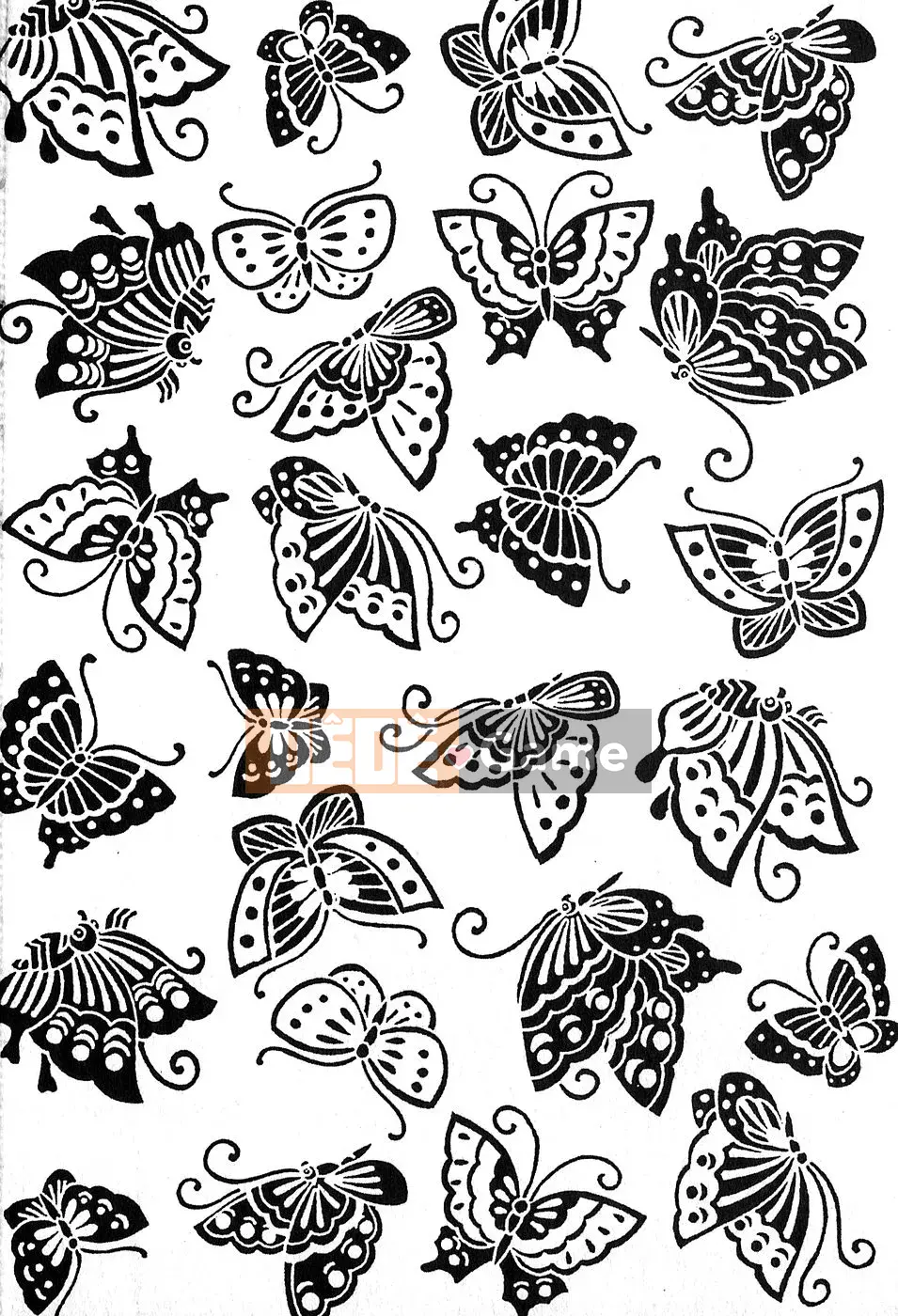 [Bóng] Kasumi no Mori 2