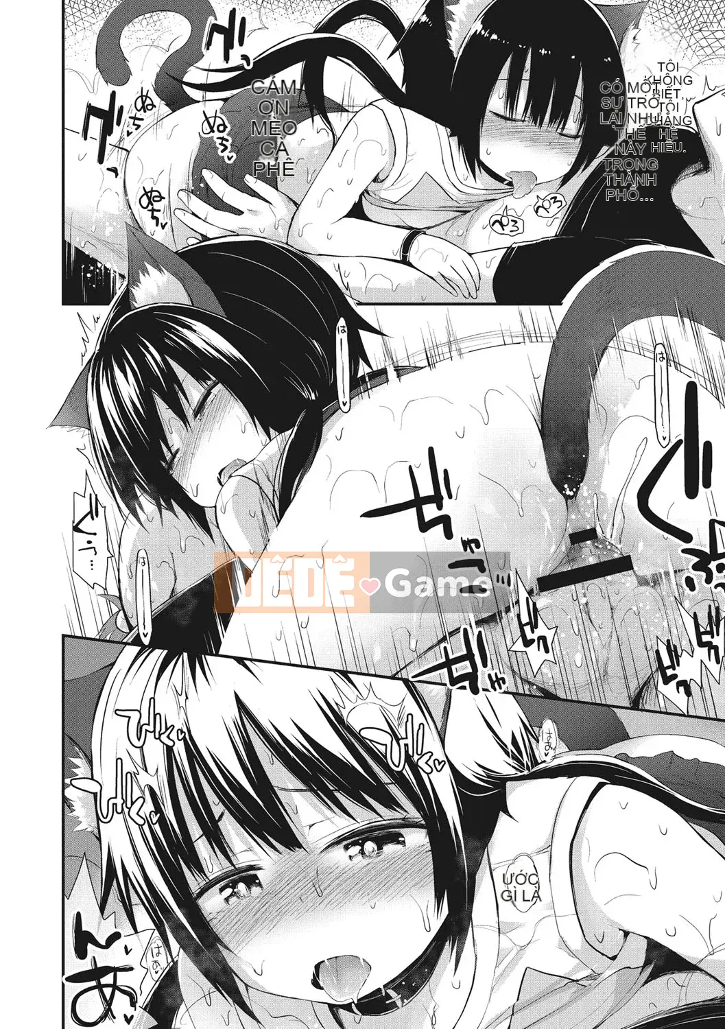 [Fujisaka Lyric] Tò Mò Nhỏ