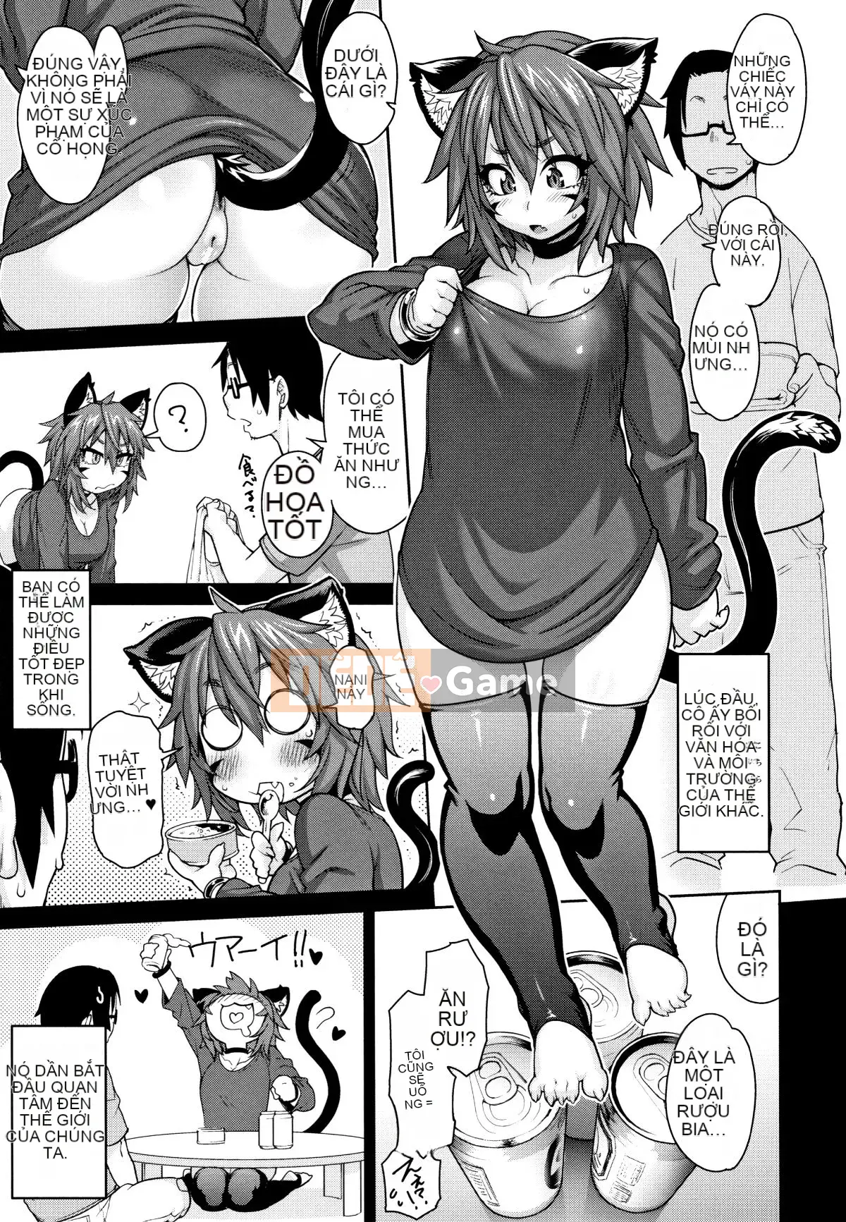 [Tháng 6] Kemonokko Tsushin