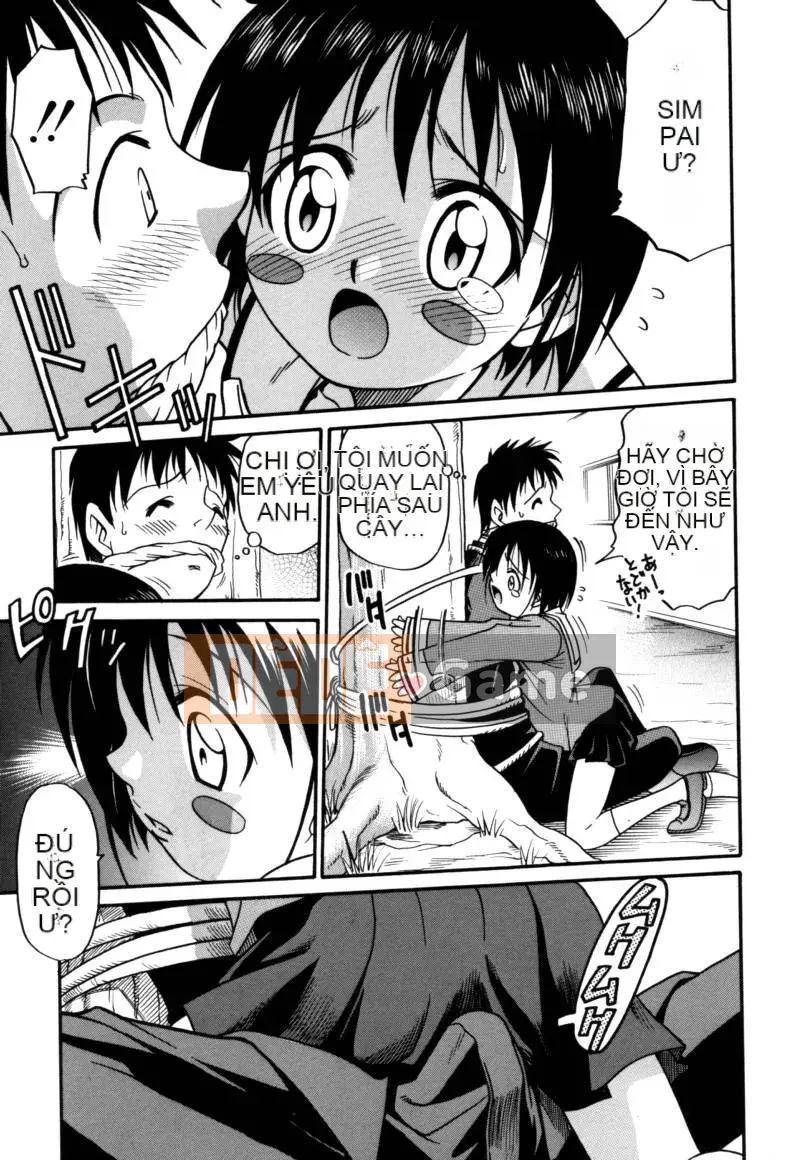 [Kuichiro] Đồ Chơi Bé Gái