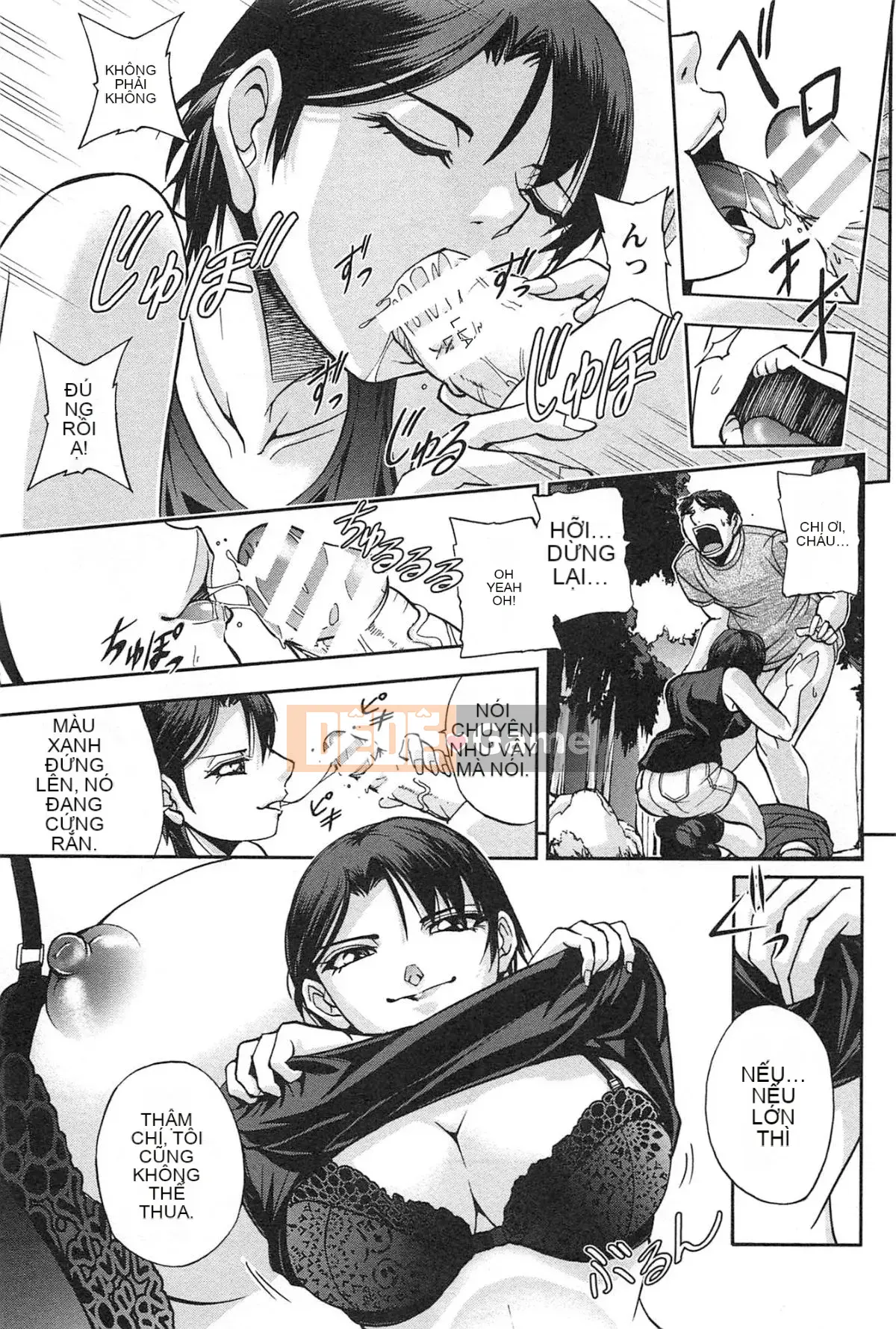 [Sagami Yoshitsune] Bộ sưu tập Toshijo