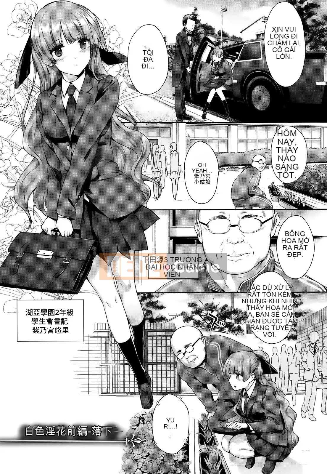 [Katsurai Yoshiaki] Cao su Black Leaf BLACK