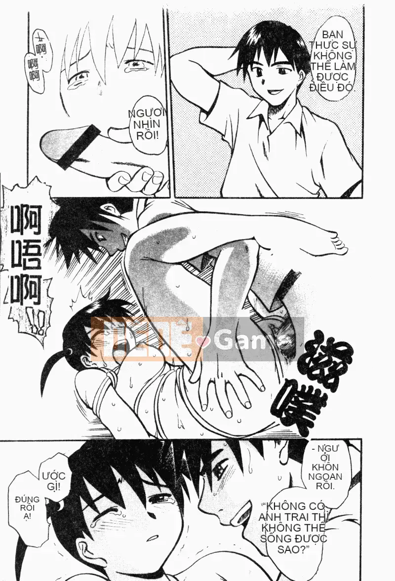 [Tuyển tập] Imouto Kyouyuu