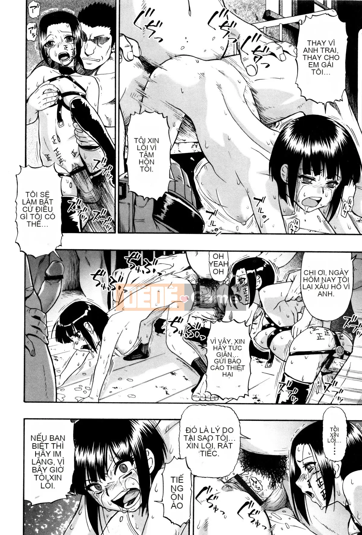 [Hàu] Vật nuôi trong nhà