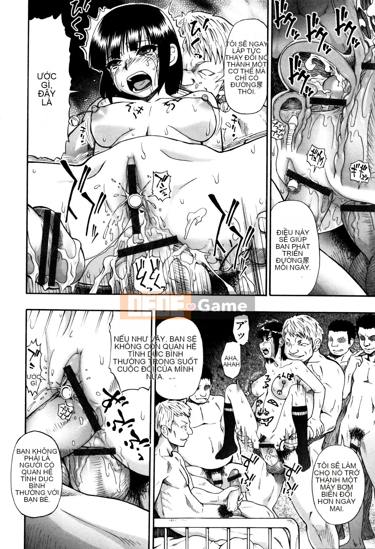 [Hàu] Vật nuôi trong nhà