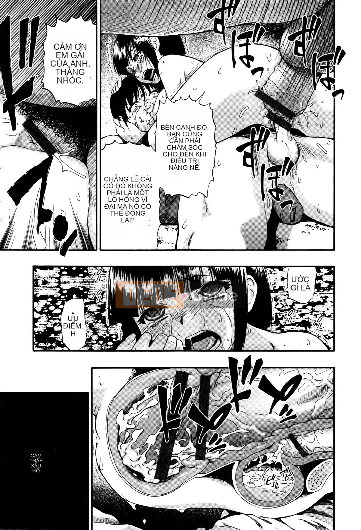 [Hàu] Vật nuôi trong nhà