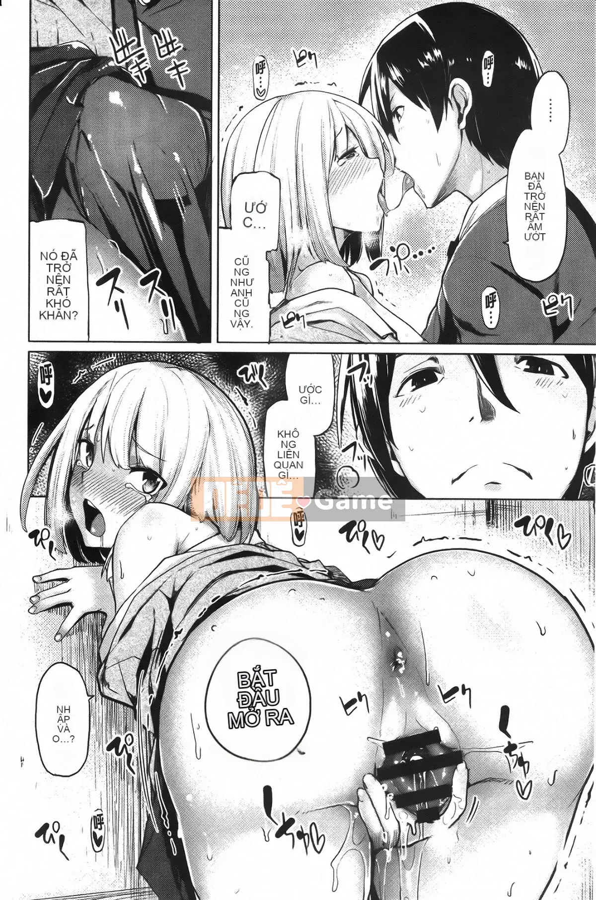 [Moketa] Mùi Koiiro + tập sách 8 trang