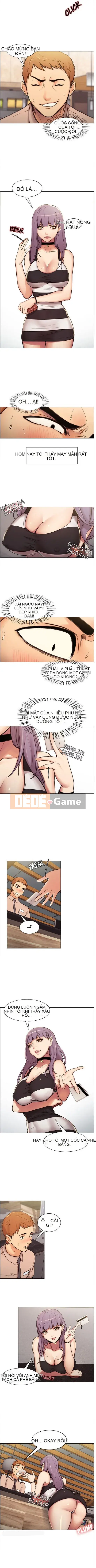 Cuộc sống thú vị ở nhà mẹ chồng