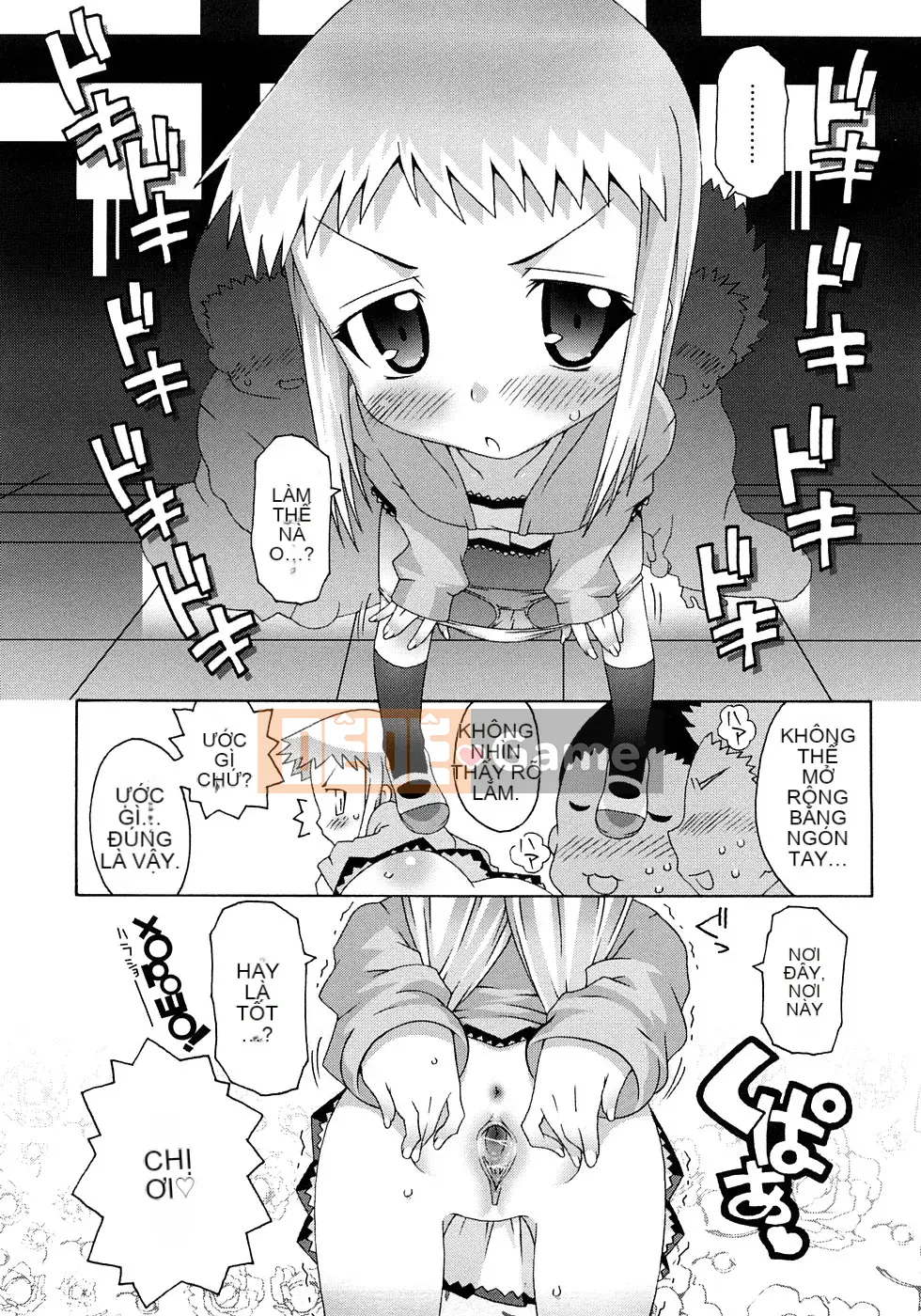 [Mudo Eichi] Khu phức hợp trường học