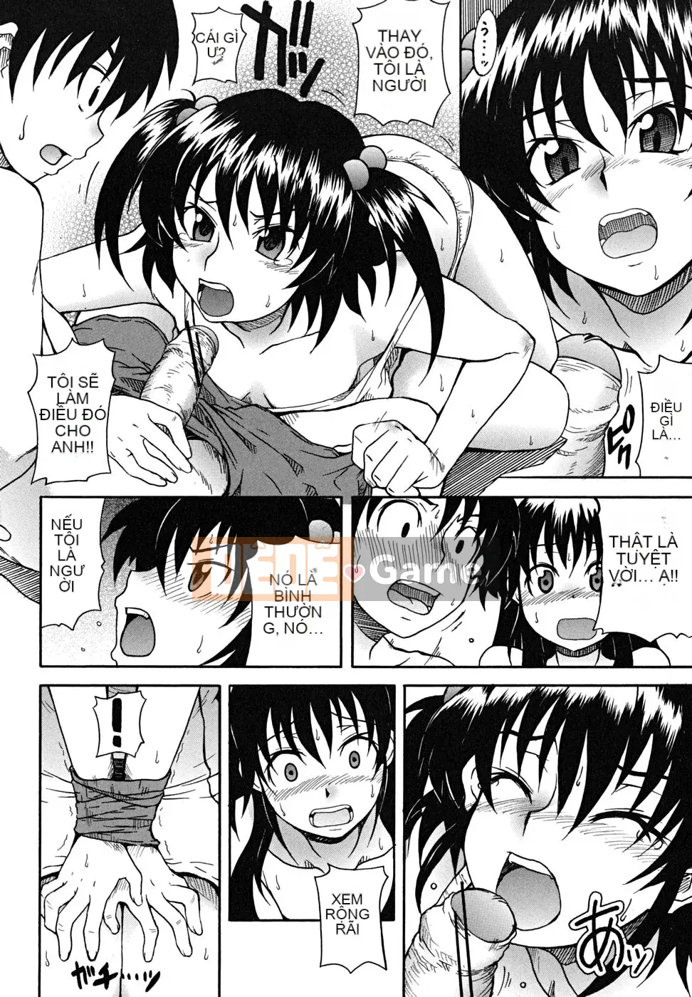 [Shiran Takashi] Koinori