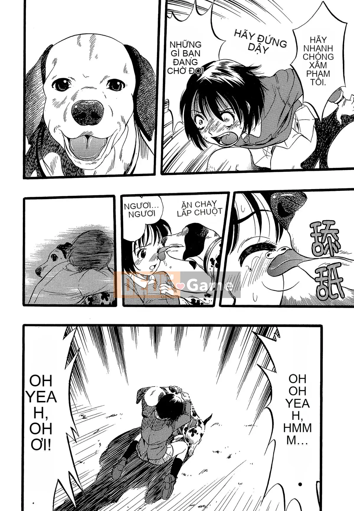 [Cá nhân hóa quan trọng] [Yugo Kurita] Cô gái mơ thấy một con chó