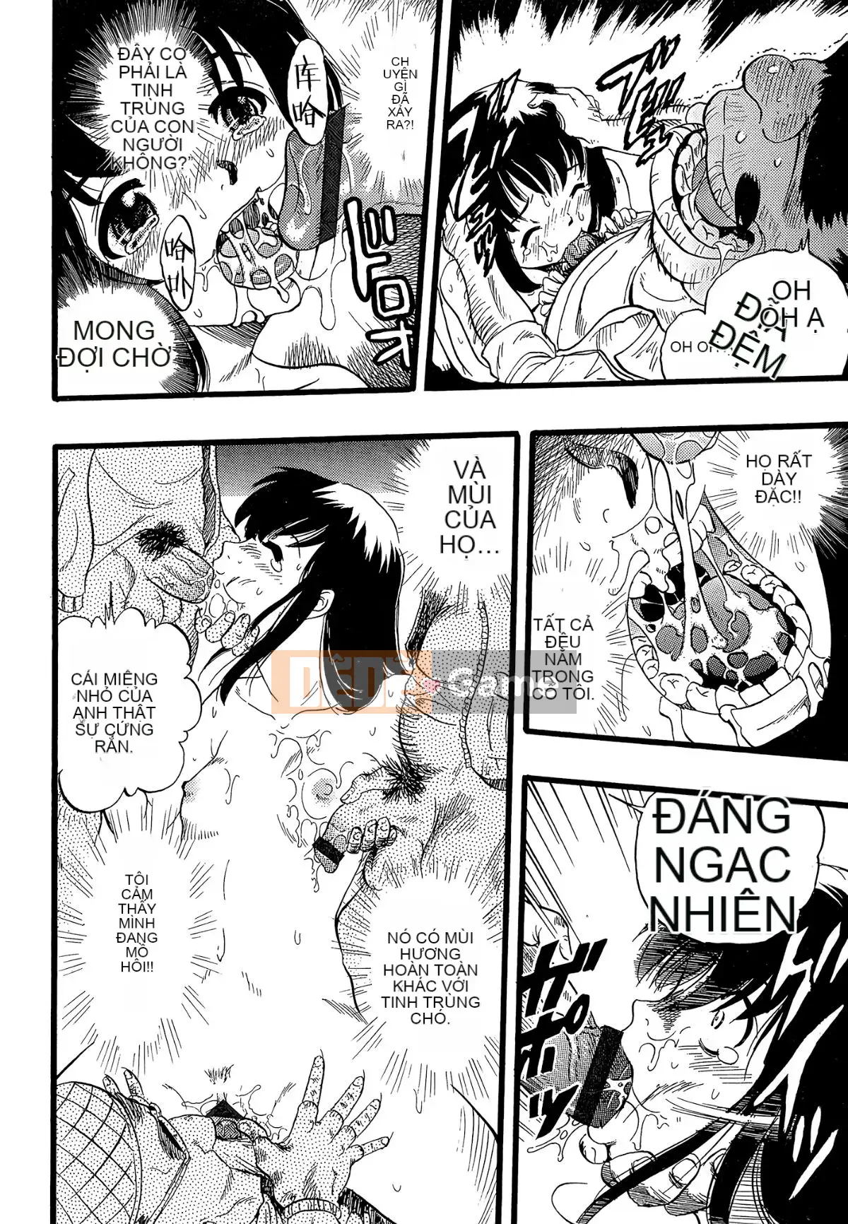 [Cá nhân hóa quan trọng] [Yugo Kurita] Cô gái mơ thấy một con chó