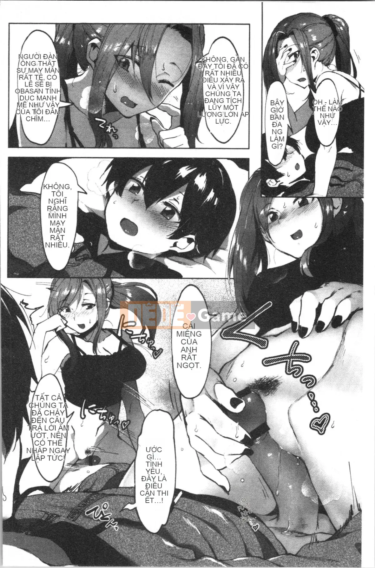 [4K Hanhuagumi][Giả] Nisebon