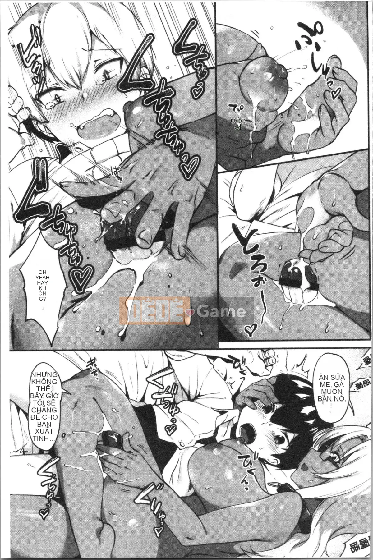 [4K Hanhuagumi][Giả] Nisebon